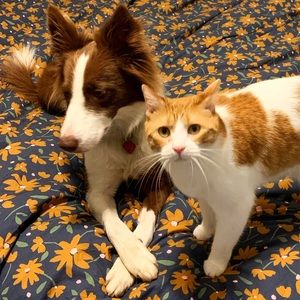 Meet your Posher, Meredith